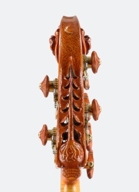 Basse_Cosmique_Tete dos.jpg